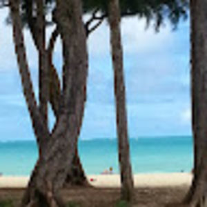 Meet your Posher, Robin